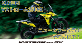 SUZUKI V-STROME250SX 新色発売！